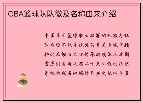 CBA篮球队队徽及名称由来介绍