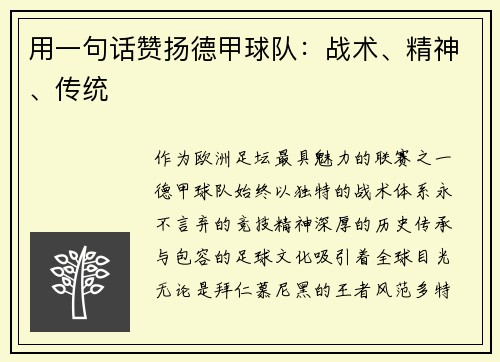 用一句话赞扬德甲球队：战术、精神、传统